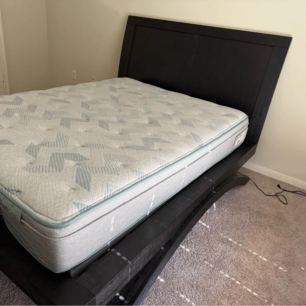 Elegant Black Bed Frame with White Mattress